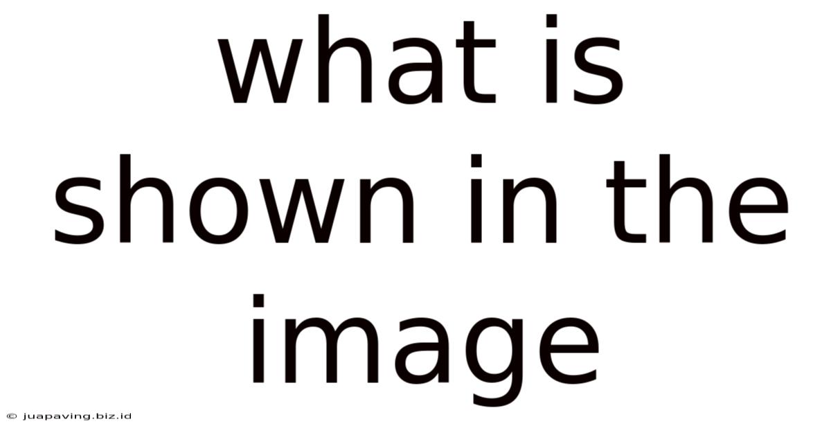 What Is Shown In The Image