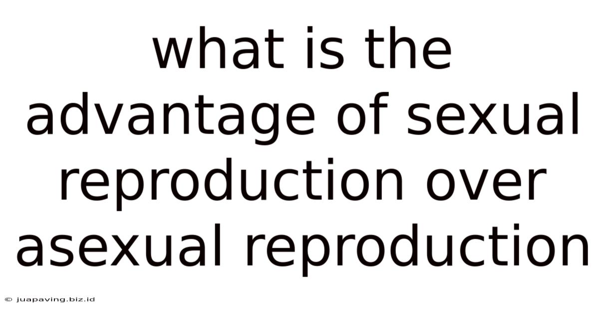 What Is The Advantage Of Sexual Reproduction Over Asexual Reproduction