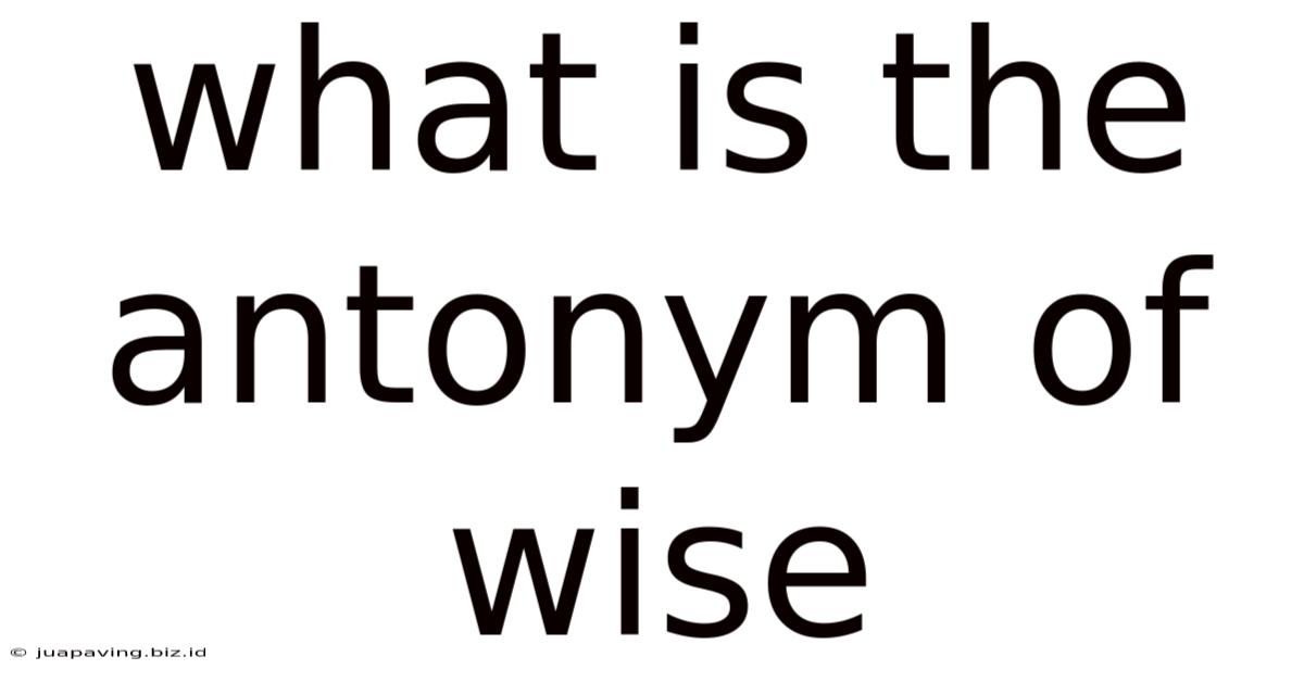 What Is The Antonym Of Wise