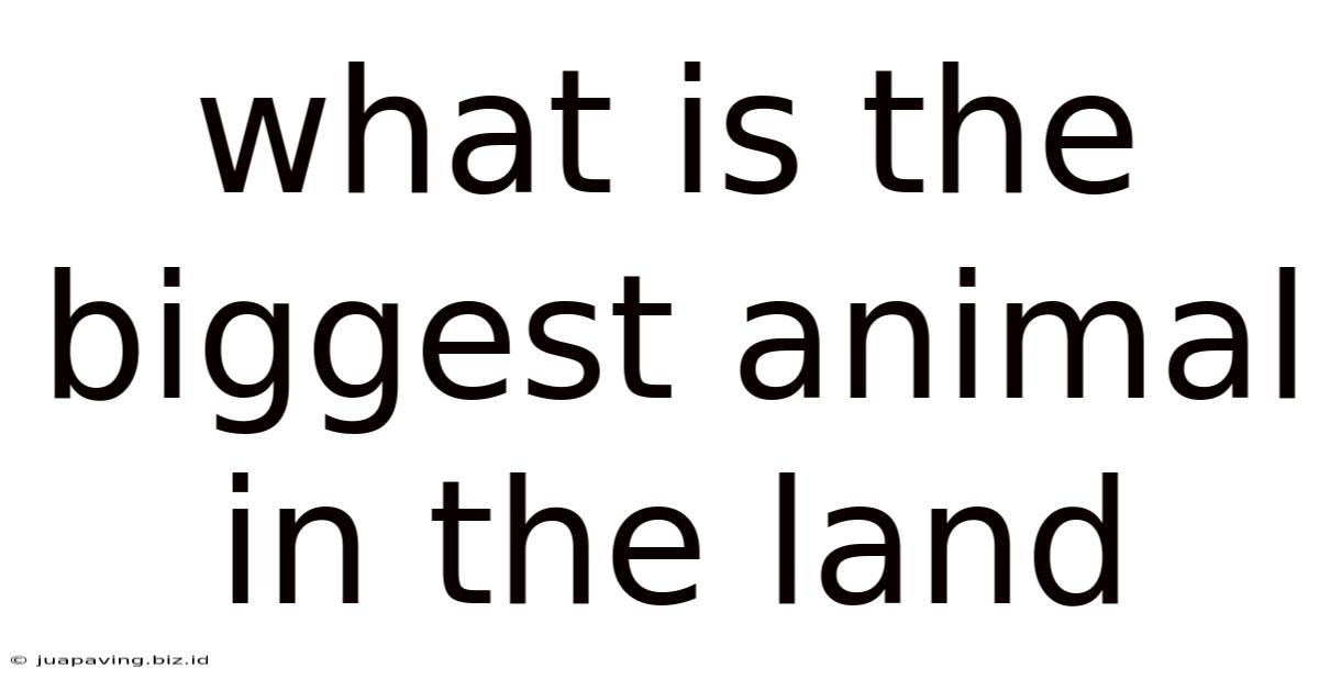 What Is The Biggest Animal In The Land