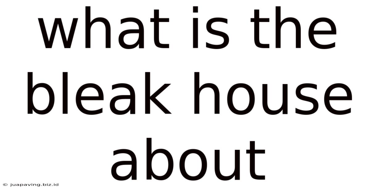 What Is The Bleak House About