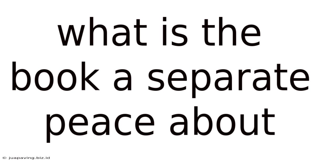 What Is The Book A Separate Peace About