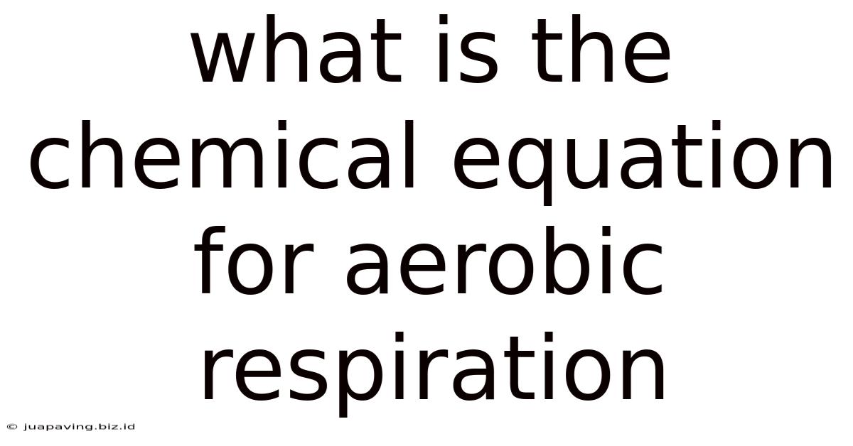 What Is The Chemical Equation For Aerobic Respiration