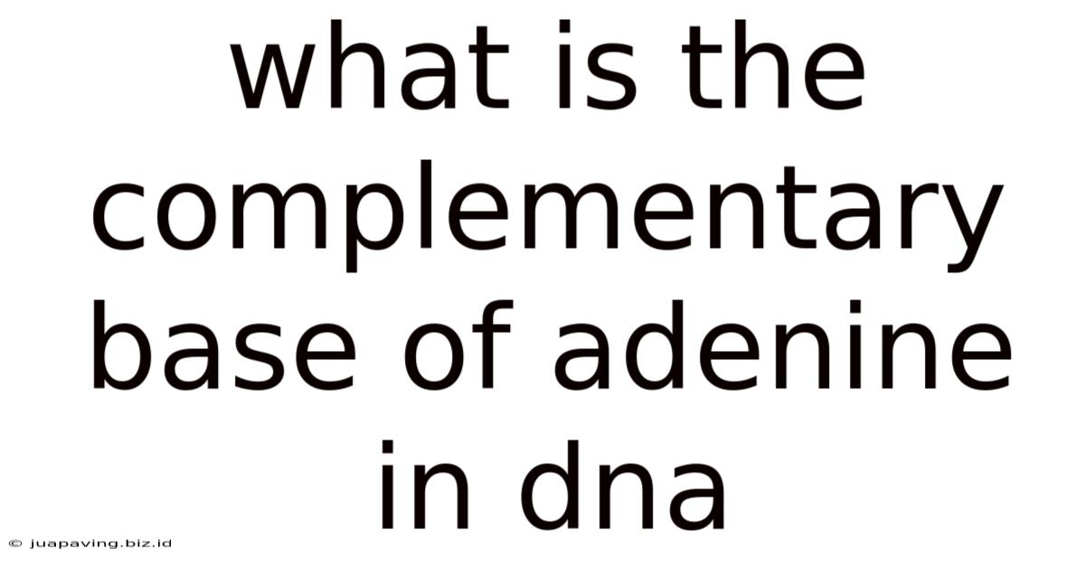 What Is The Complementary Base Of Adenine In Dna