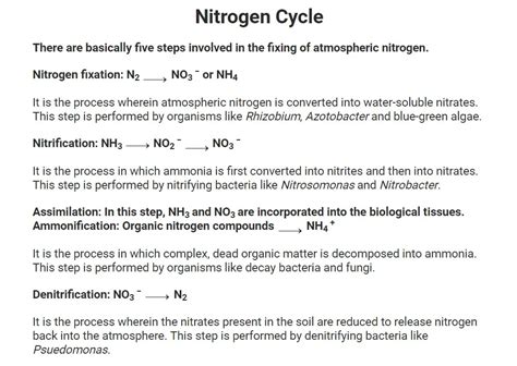 What Is The Correct Name For N2o3