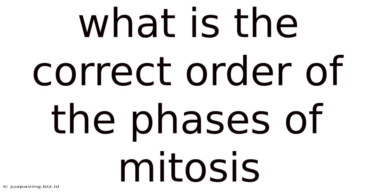 What Is The Correct Order Of The Phases Of Mitosis