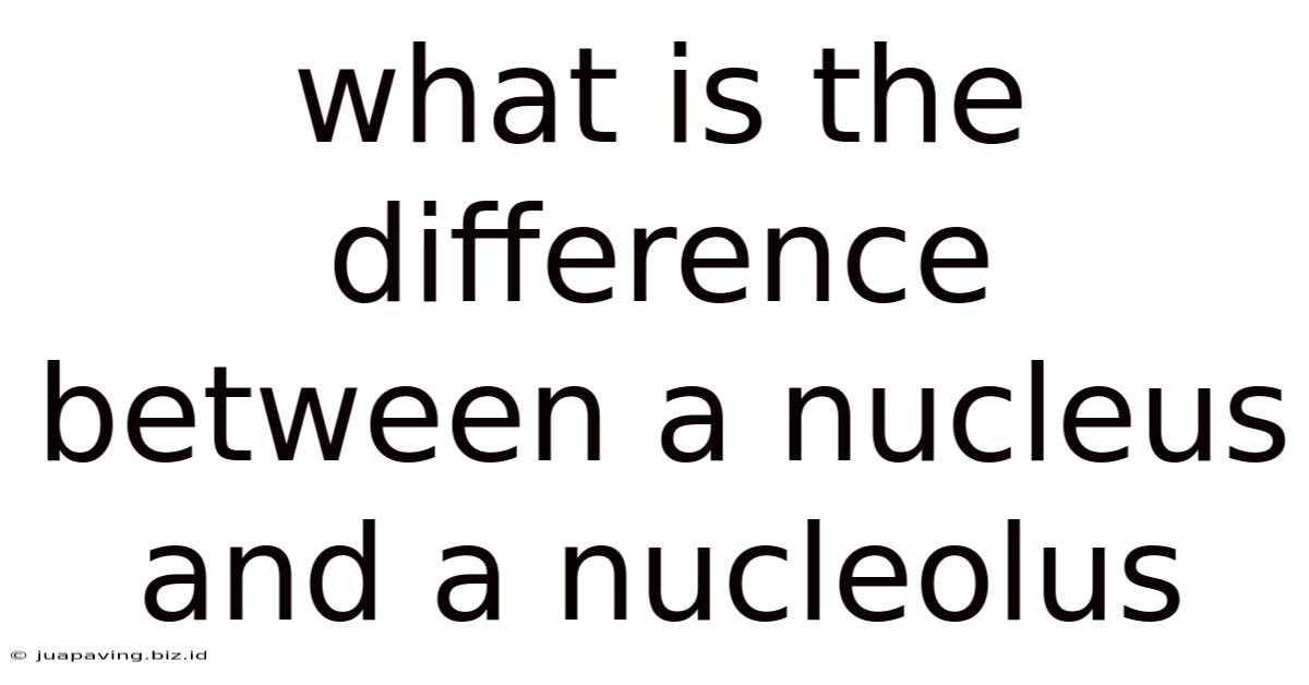 What Is The Difference Between A Nucleus And A Nucleolus