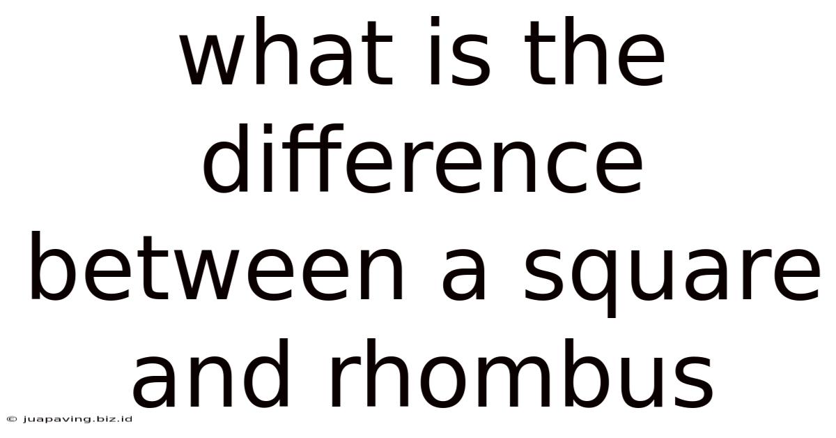 What Is The Difference Between A Square And Rhombus