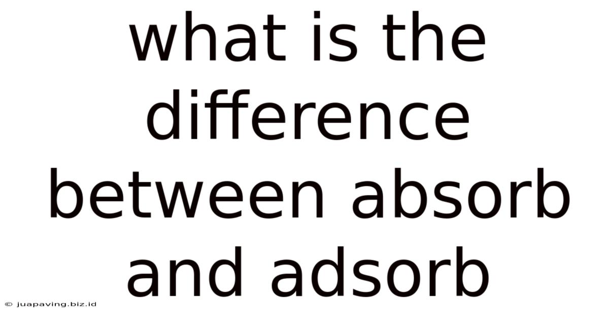 What Is The Difference Between Absorb And Adsorb