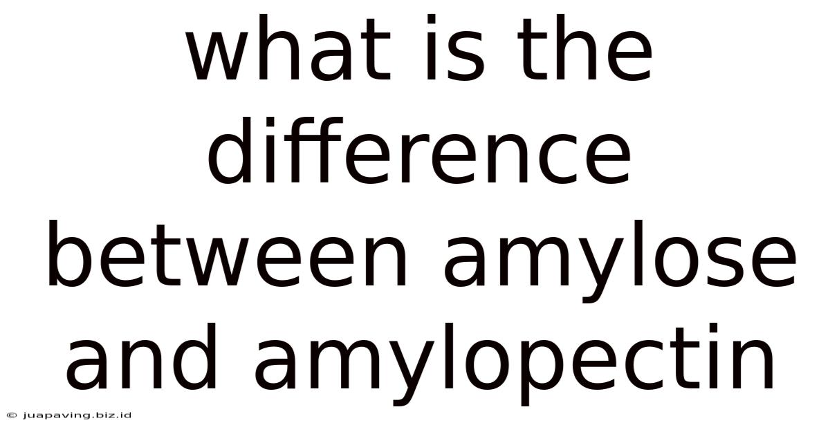 What Is The Difference Between Amylose And Amylopectin