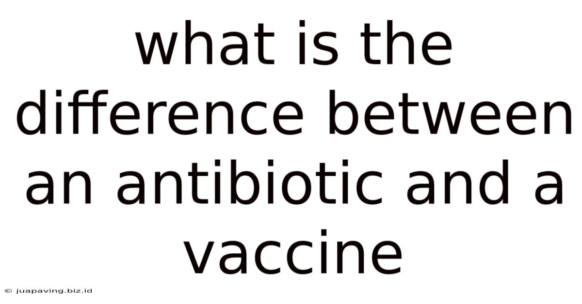What Is The Difference Between An Antibiotic And A Vaccine