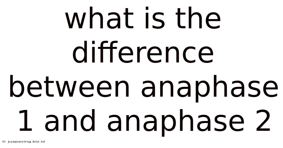 What Is The Difference Between Anaphase 1 And Anaphase 2
