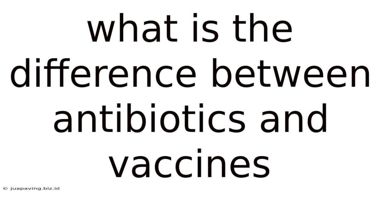 What Is The Difference Between Antibiotics And Vaccines
