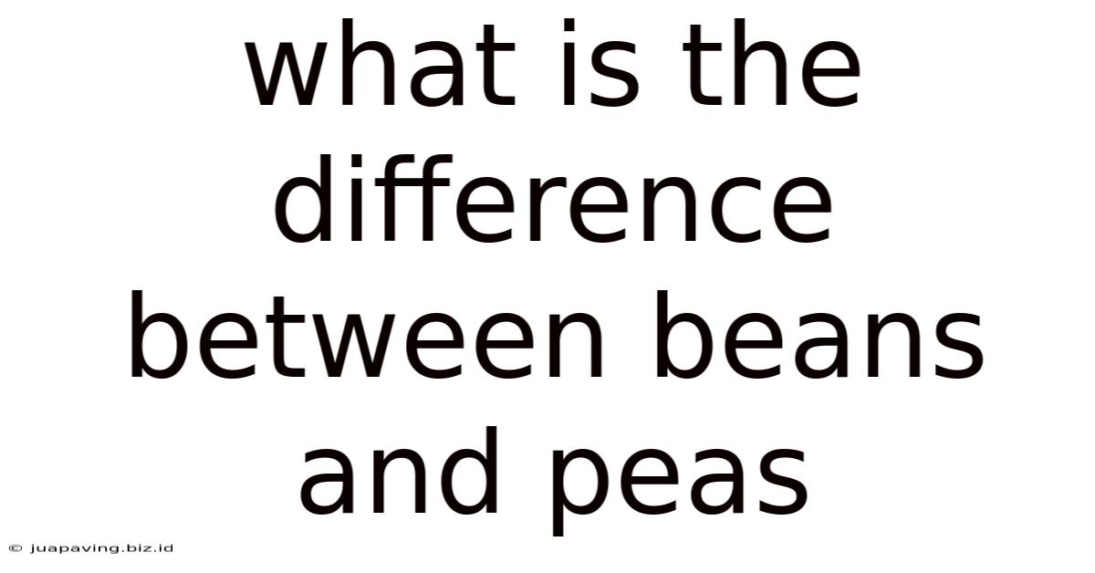 What Is The Difference Between Beans And Peas
