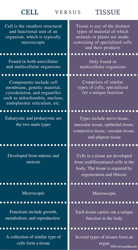 What Is The Difference Between Cell And Tissue