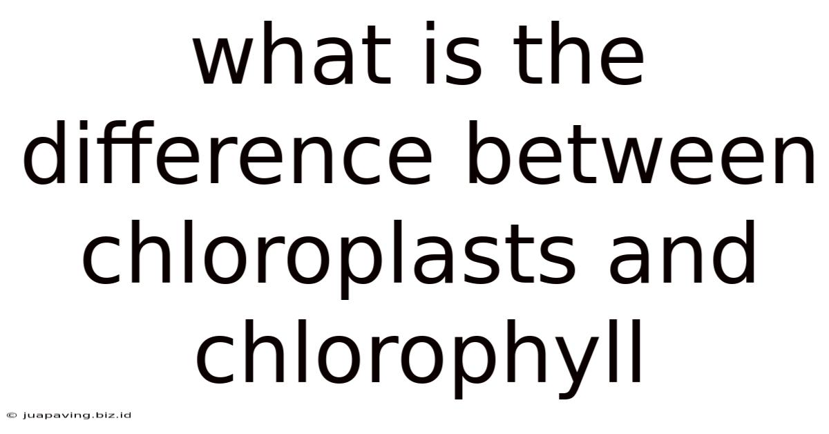 What Is The Difference Between Chloroplasts And Chlorophyll