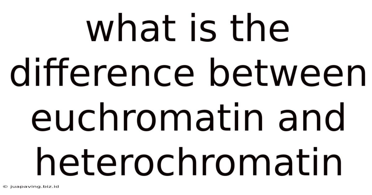 What Is The Difference Between Euchromatin And Heterochromatin