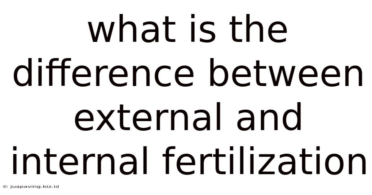 What Is The Difference Between External And Internal Fertilization