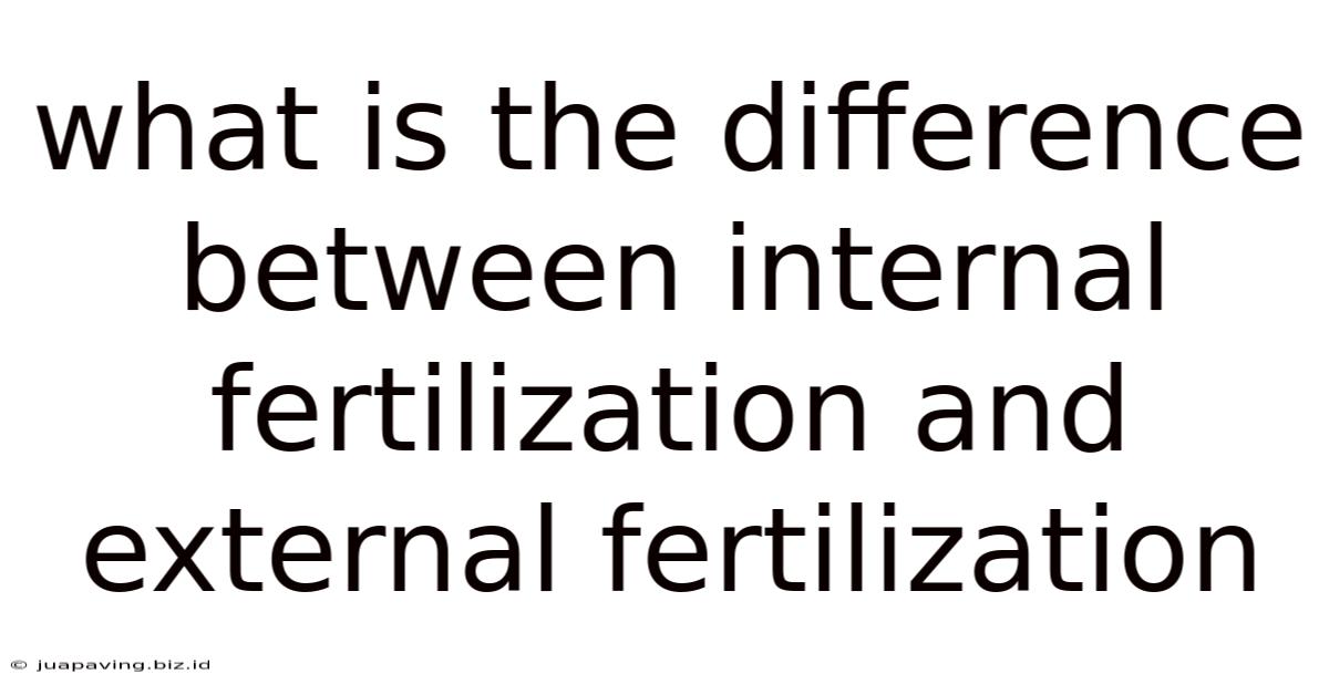 What Is The Difference Between Internal Fertilization And External Fertilization