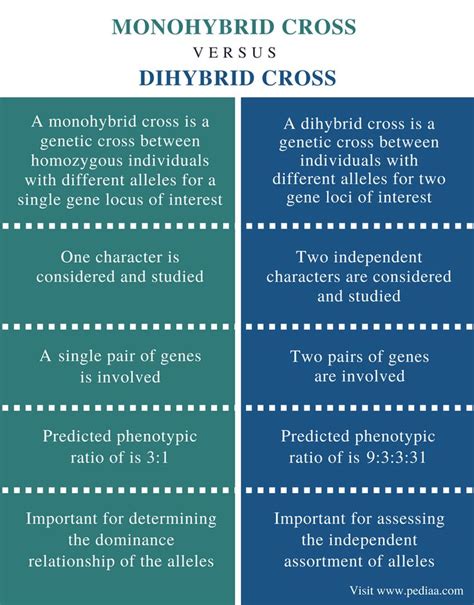 What Is The Difference Between Monohybrid And Dihybrid Crosses