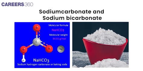 What Is The Difference Between Sodium Carbonate And Sodium Bicarbonate