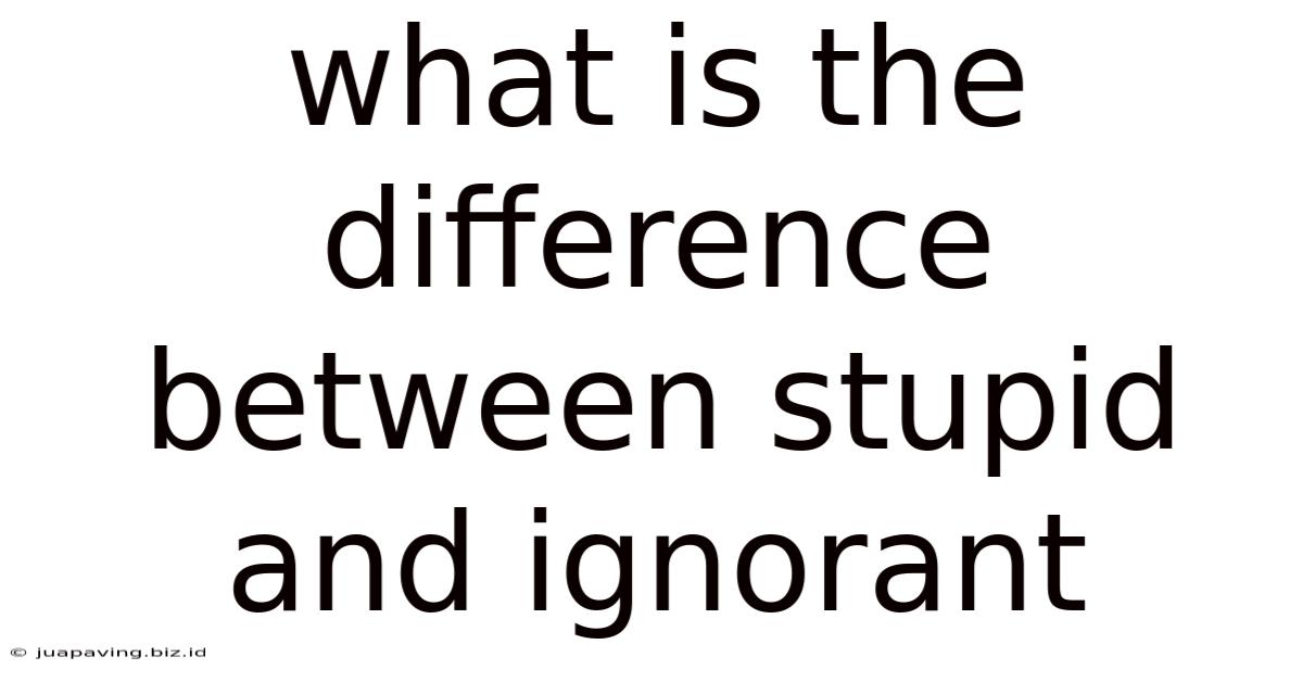 What Is The Difference Between Stupid And Ignorant
