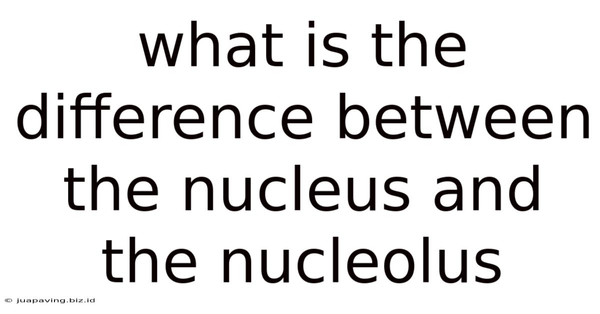 What Is The Difference Between The Nucleus And The Nucleolus