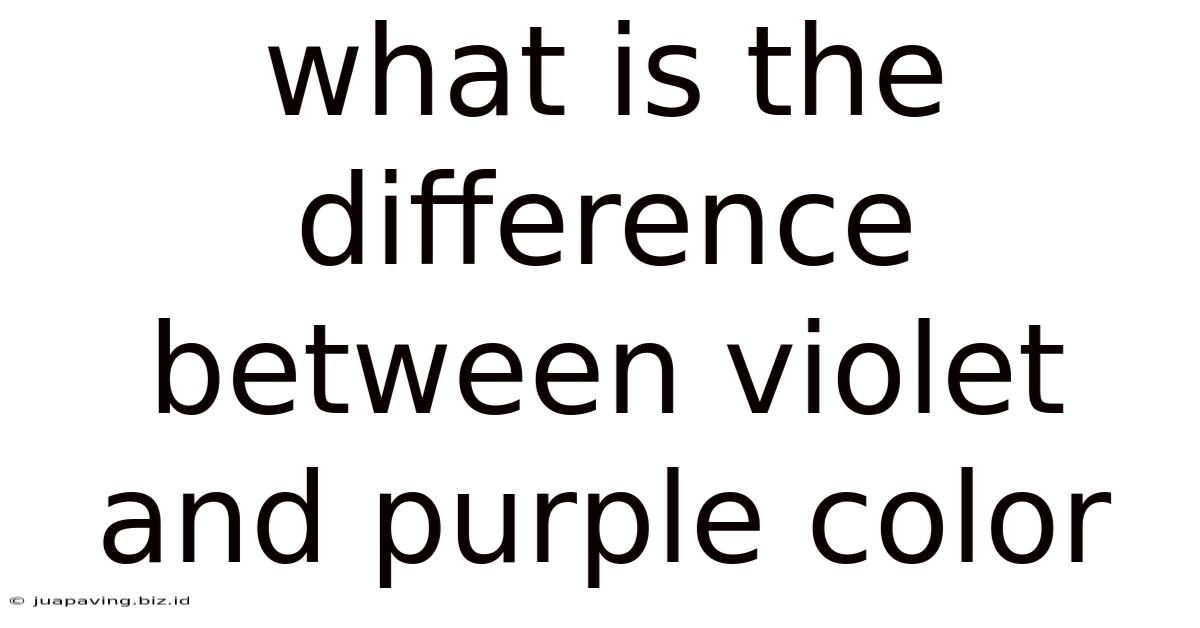 What Is The Difference Between Violet And Purple Color