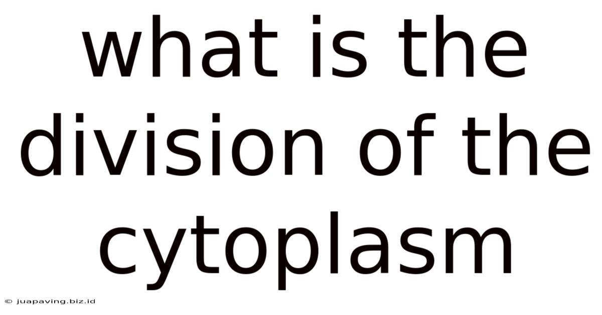 What Is The Division Of The Cytoplasm