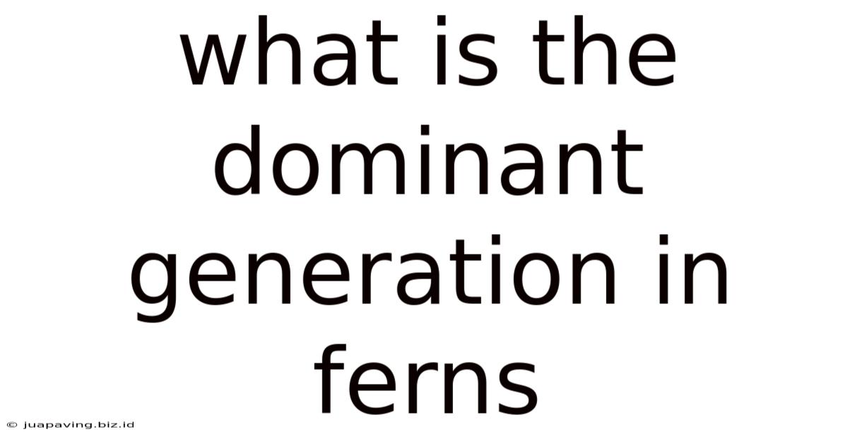 What Is The Dominant Generation In Ferns