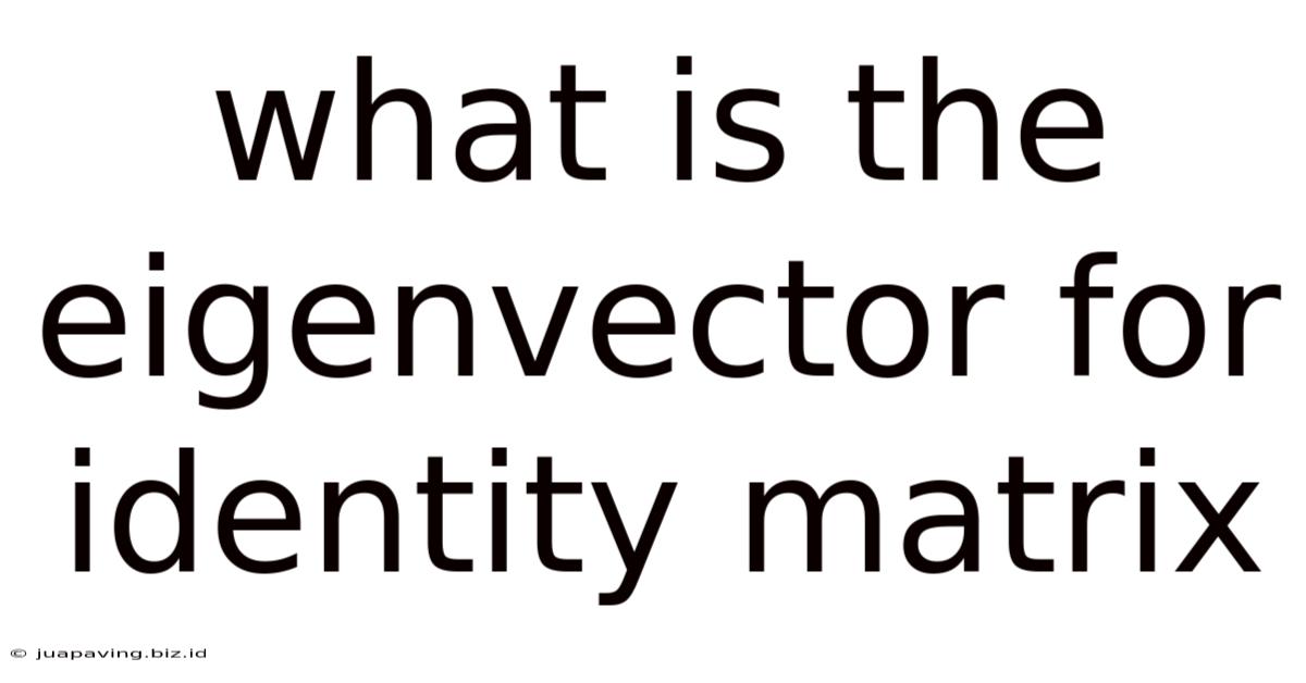 What Is The Eigenvector For Identity Matrix