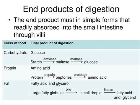 What Is The End Product Of Fat Digestion