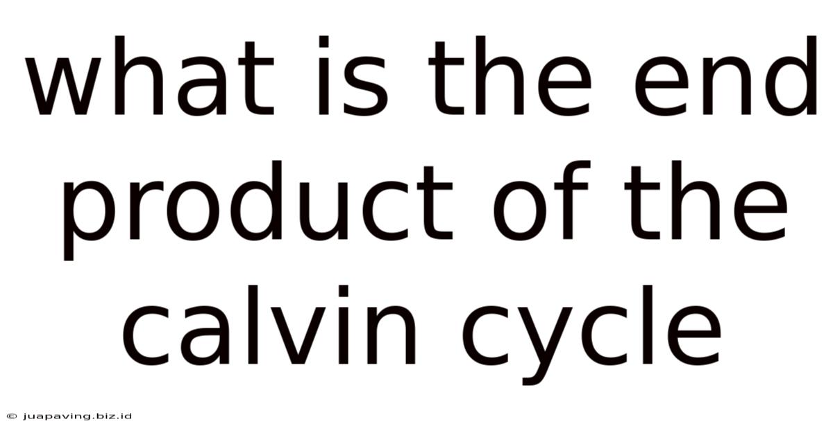 What Is The End Product Of The Calvin Cycle