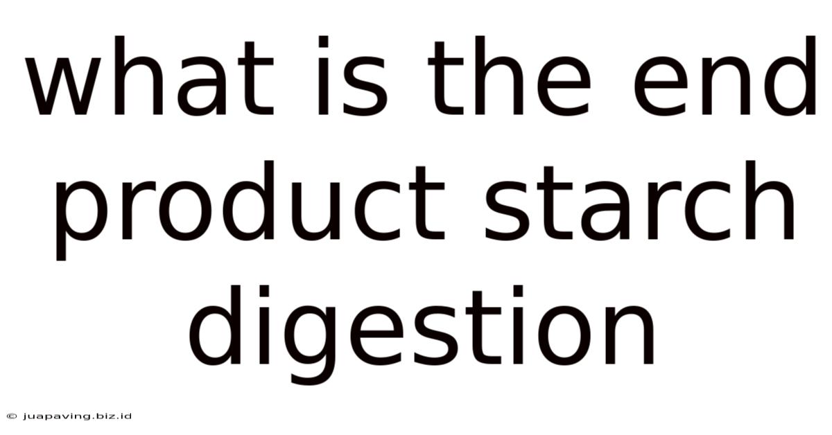 What Is The End Product Starch Digestion