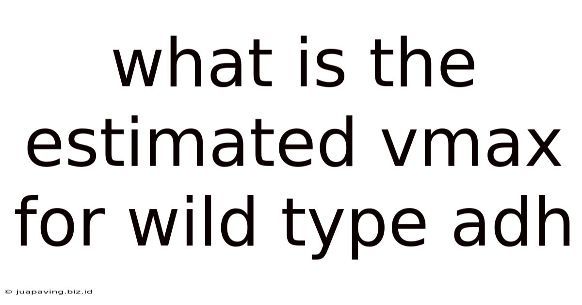 What Is The Estimated Vmax For Wild Type Adh