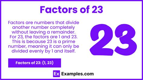 What Is The Factor Of 23