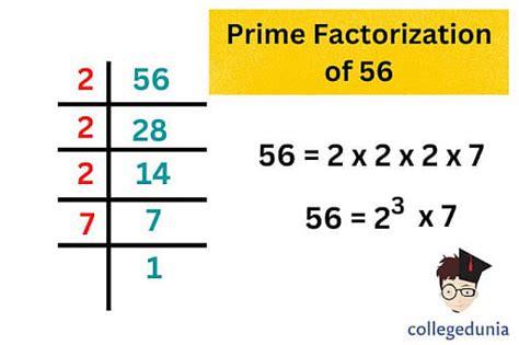 What Is The Factor Of 56