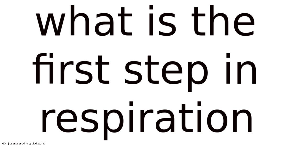 What Is The First Step In Respiration
