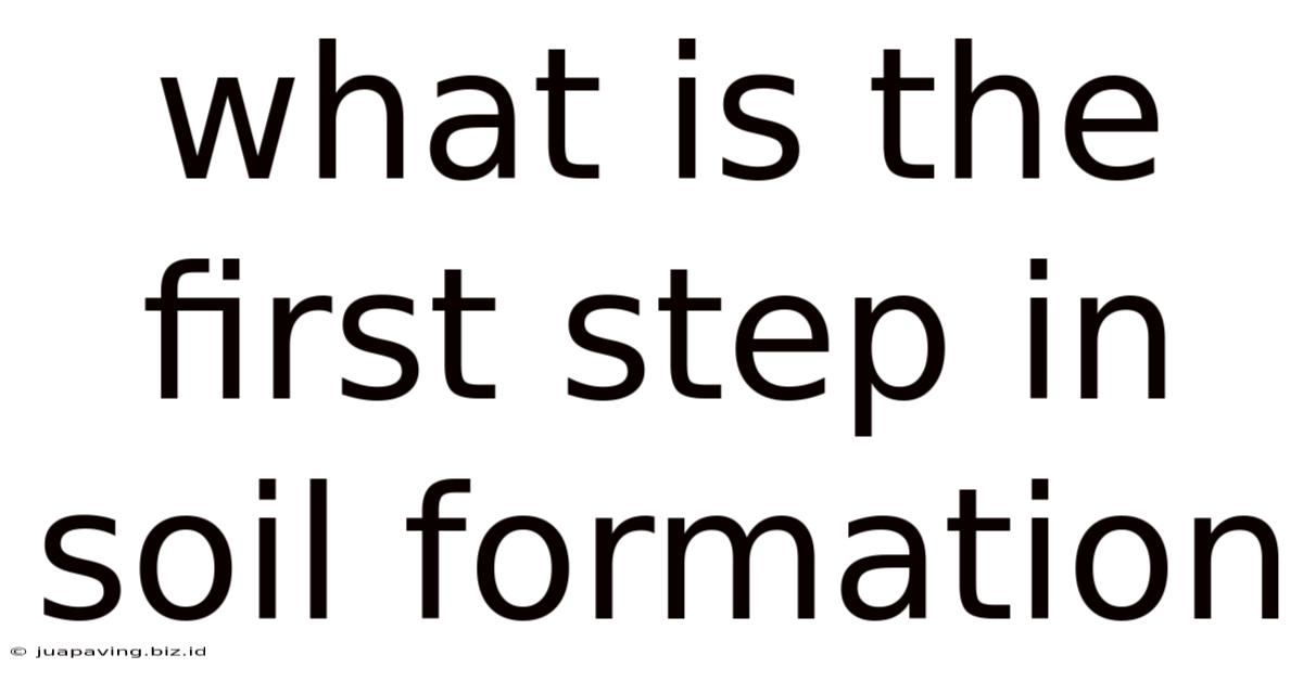 What Is The First Step In Soil Formation