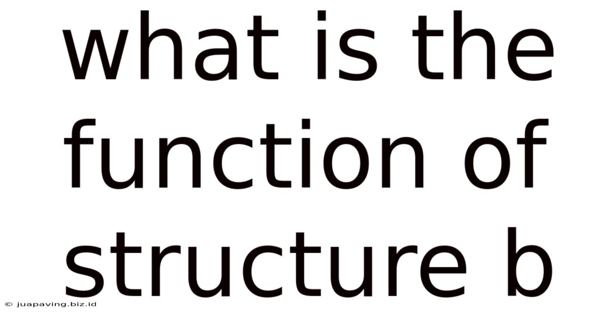 What Is The Function Of Structure B