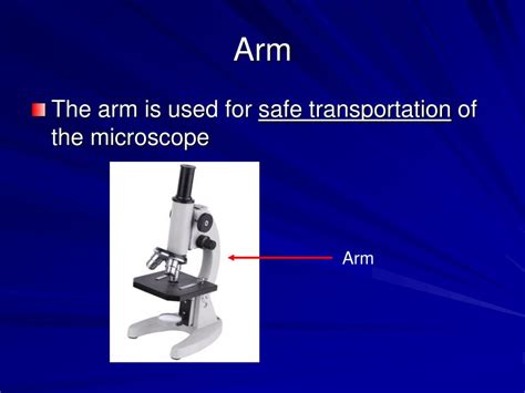 What Is The Function Of The Arm Of The Microscope