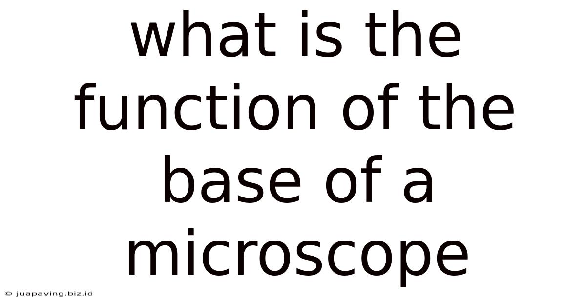 What Is The Function Of The Base Of A Microscope