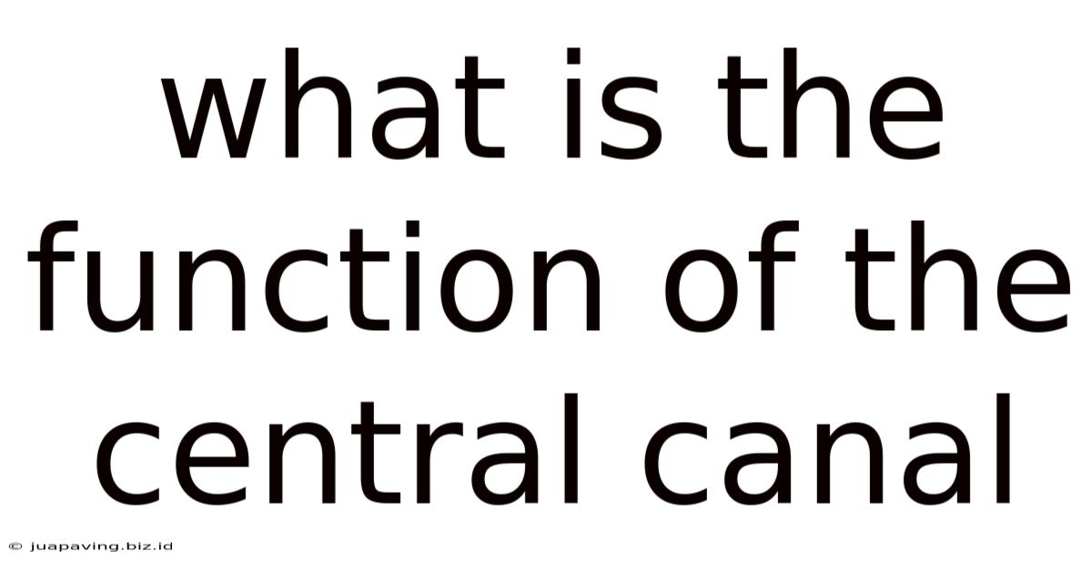 What Is The Function Of The Central Canal