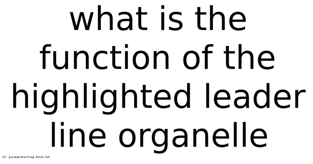 What Is The Function Of The Highlighted Leader Line Organelle
