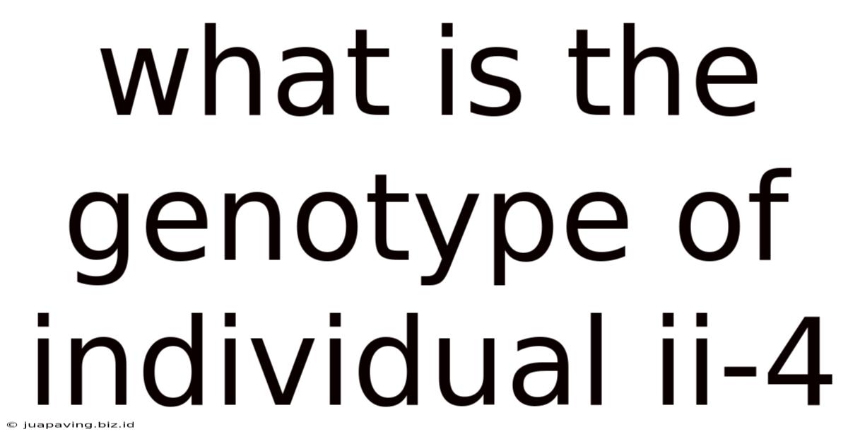 What Is The Genotype Of Individual Ii-4