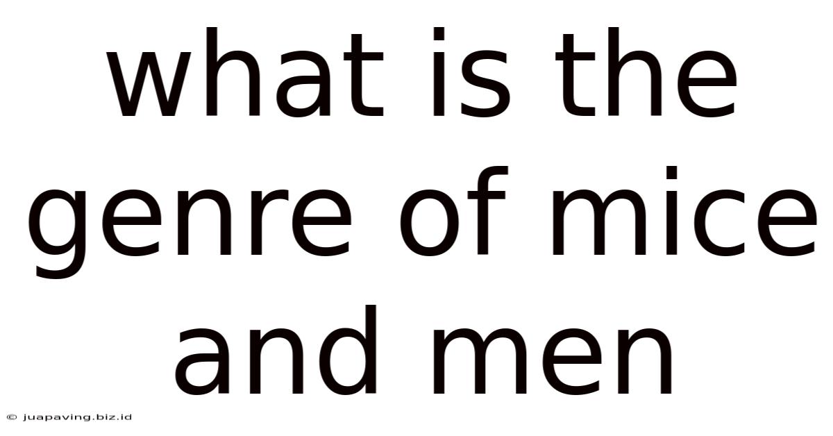 What Is The Genre Of Mice And Men
