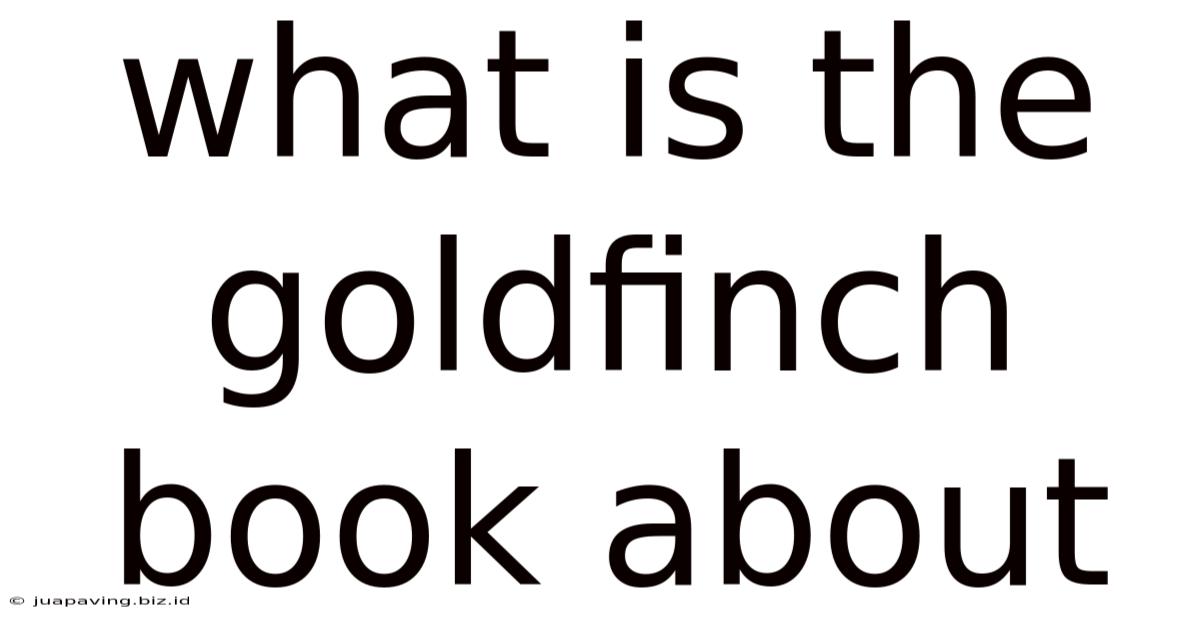 What Is The Goldfinch Book About