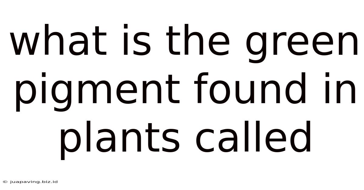 What Is The Green Pigment Found In Plants Called
