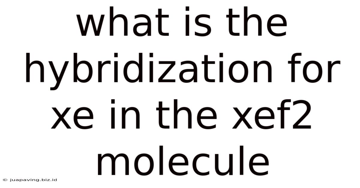 What Is The Hybridization For Xe In The Xef2 Molecule