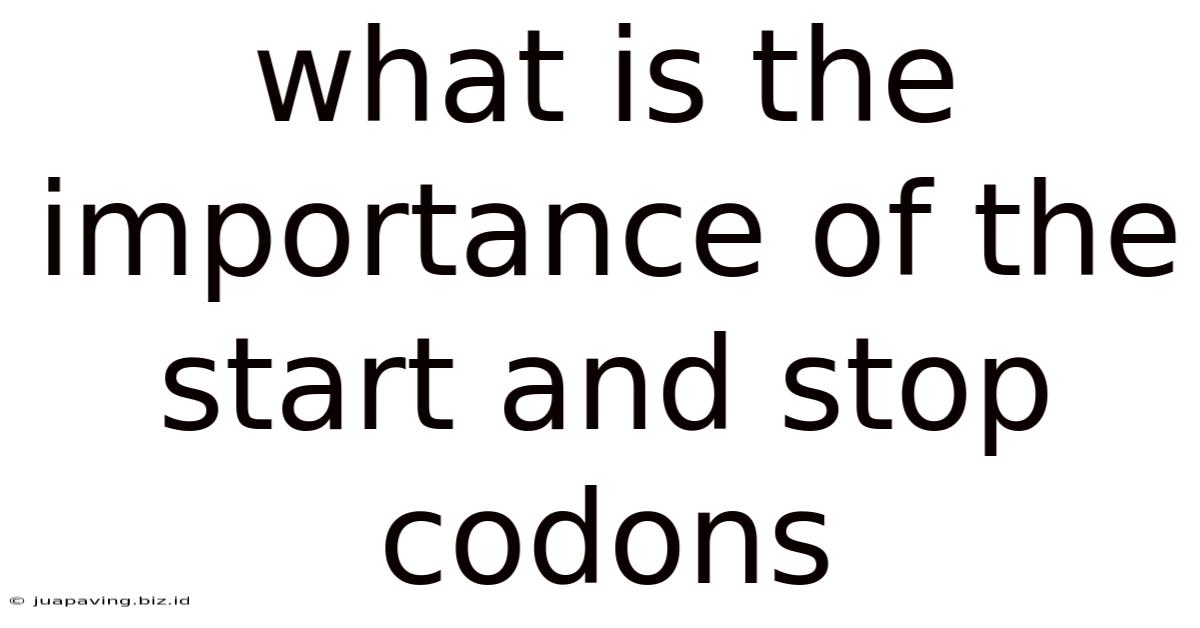 What Is The Importance Of The Start And Stop Codons